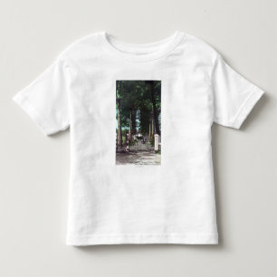 Entrance to Casa Theodore Wagner View Toddler T-Shirt