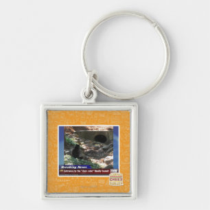 Entrance to the Dark Side Key Ring