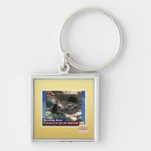 Entrance to the Dark Side Key Ring