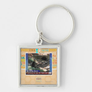 Entrance to the Dark Side Key Ring