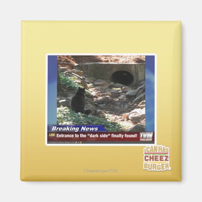 Entrance to the Dark Side Magnet (Front)