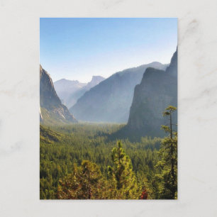 Entrance To The Yosemite Valley Postcard