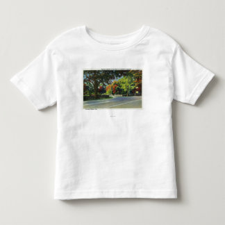 Entrance View to FDR's House Toddler T-Shirt