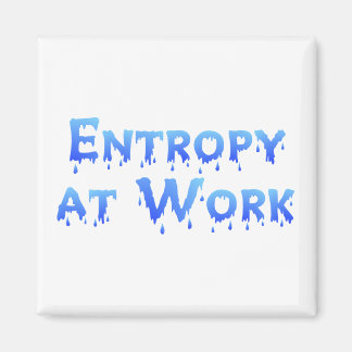 Entropy At Work Magnet