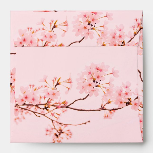 Envelope (Back (Top Flap))