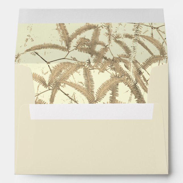 Envelope (Back (Bottom))