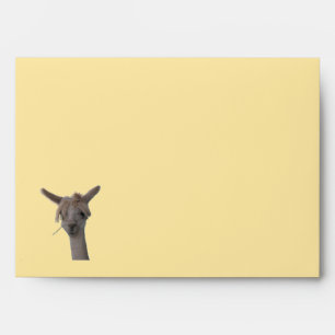 Envelope - GRT Card - Alpaca
