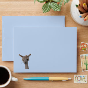Envelope - GRT card - Alpaca on Blue