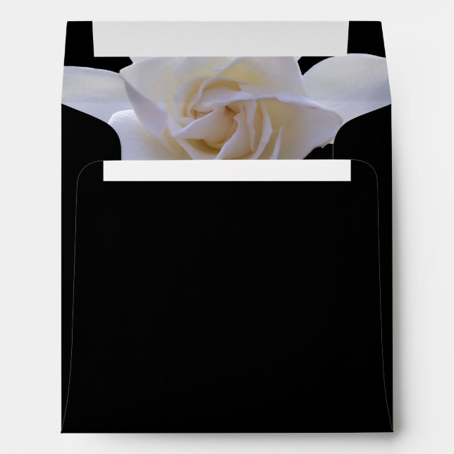 Envelopes - Gardenia on Black (Back (Bottom))
