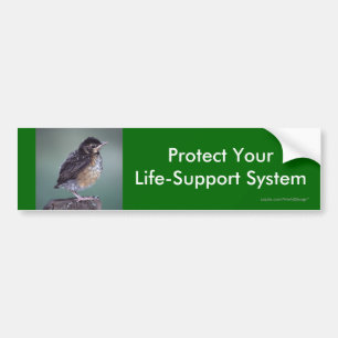 environment bumper sticker