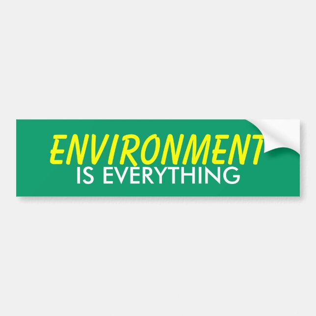 ENVIRONMENT IS EVERYTHING BUMPER STICKER (Front)