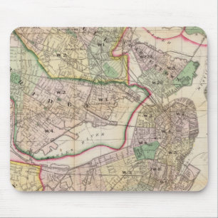 Environment of Boston Mouse Mat