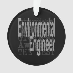 Environmental Engineer Extraordinaire Ornament
