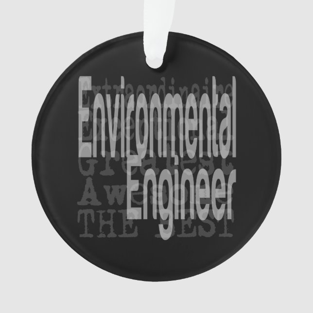 Environmental Engineer Extraordinaire Ornament (Front)