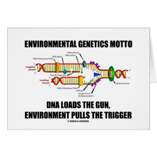 Environmental Genetics Motto DNA Loads Environment