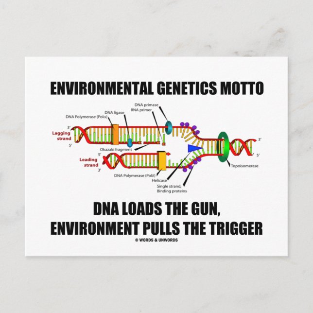 Environmental Genetics Motto DNA Loads Environment Postcard (Front)