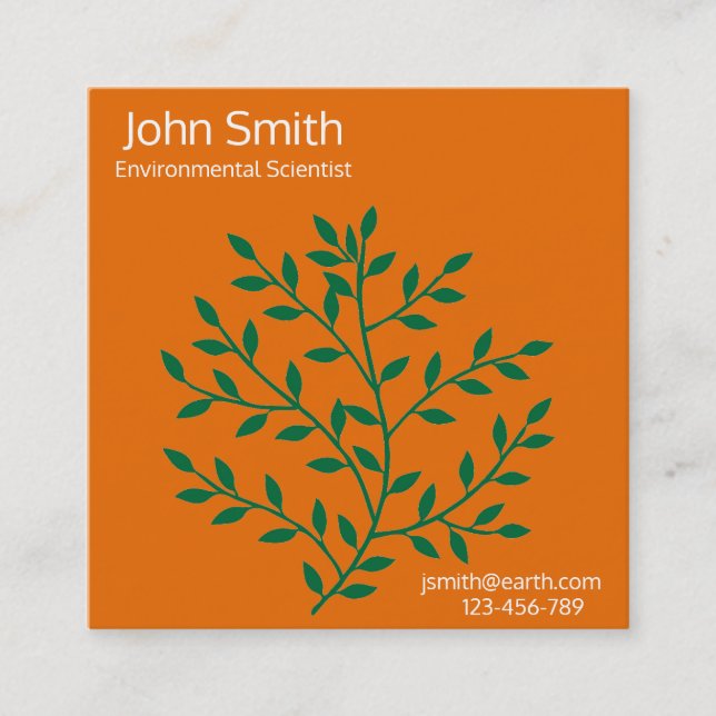 Environmental Scientist or ecologist Square Business Card (Front)
