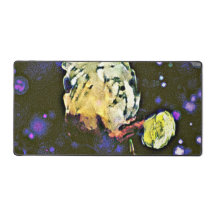 Envisionist: A Celestial Journey