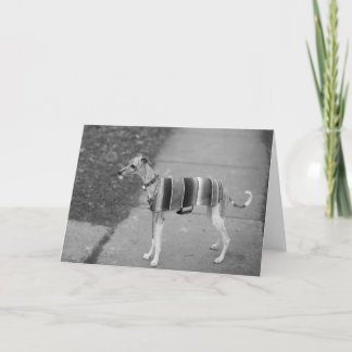 Enzo's Greeting Card