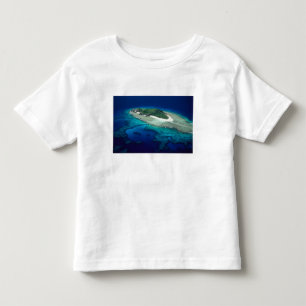 Eori Island, Mamanuca Islands, Fiji - aerial Toddler T-Shirt