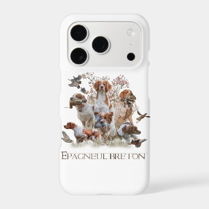 Epagneul Breton, Brittany Spaniel