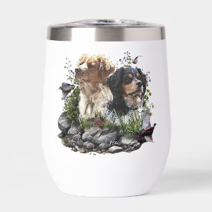 Epagneul Breton, Brittany Spaniel