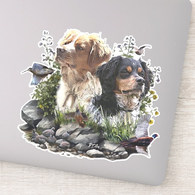 Epagneul Breton, Brittany Spaniel   (Detail)