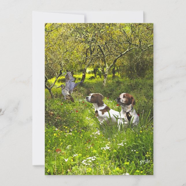 Epagneul Breton, Brittany Spaniel      Invitation (Front)