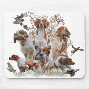 Epagneul Breton, Brittany Spaniel     Mouse Mat