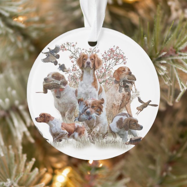 Epagneul Breton, Brittany Spaniel      Ornament (Tree)