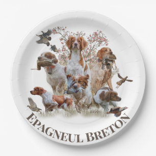 Epagneul Breton, Brittany Spaniel Paper Plate
