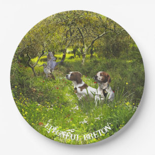 Epagneul Breton, Brittany Spaniel Paper Plate