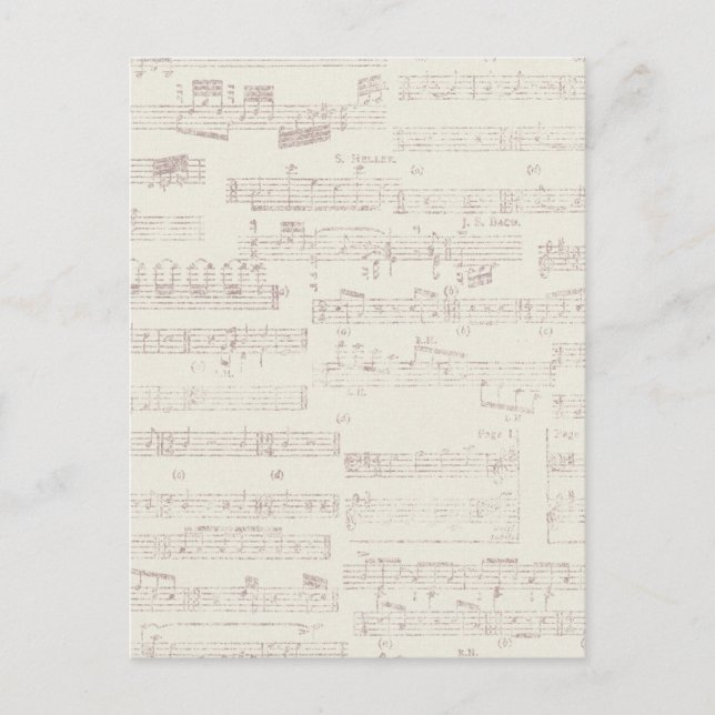 ephemera16 LIGHT GREY MUSIC BARS NOTES BACKGROUNDS Postcard (Front)