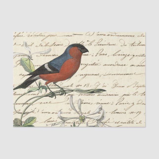 Ephemera Bird and Script Tissue Paper (Front)