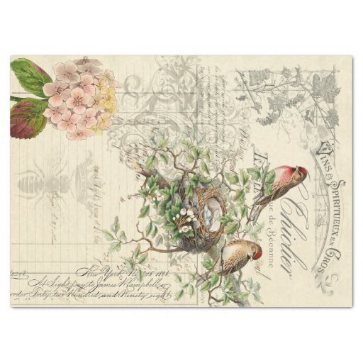 Image of Ephemera Bird Decoupage Tissue Paper