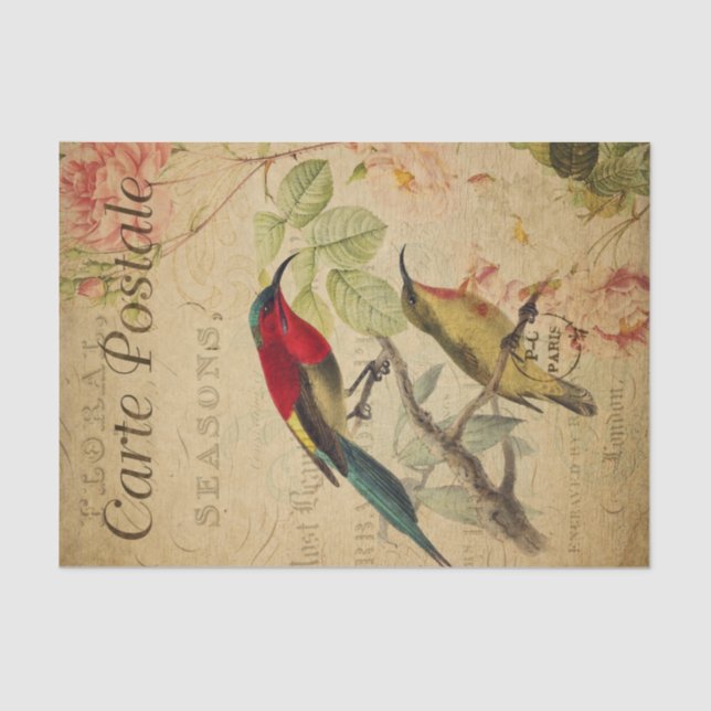 Ephemera Colourful Sunbirds Painting Decoupage Tissue Paper (Front)