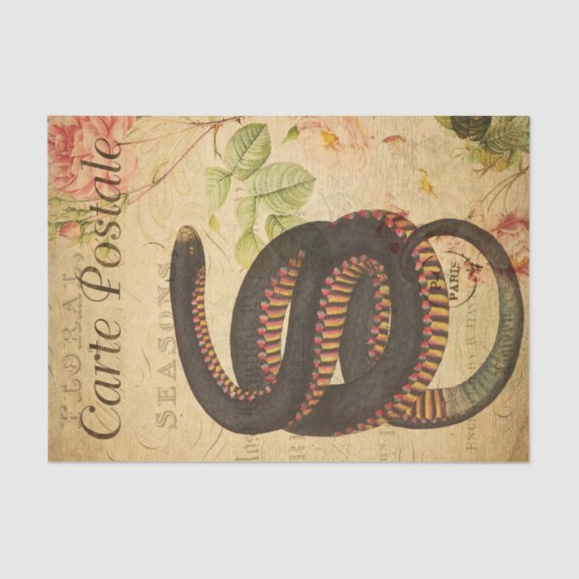 Ephemera French Postcard Black Snake Decoupage Tissue Paper (Front)