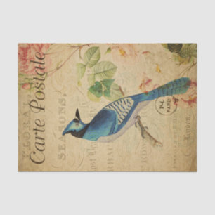 Ephemera French Postcard Blue Jay Bird Decoupage Tissue Paper