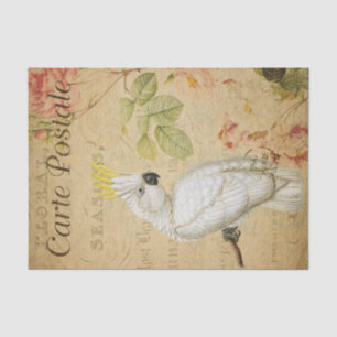 Ephemera French Postcard Cockatoo Bird Decoupage Tissue Paper