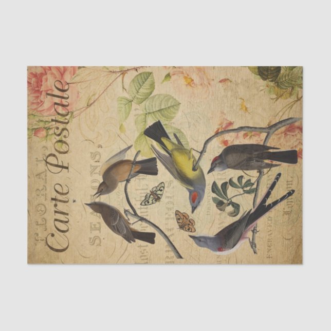 Ephemera French Postcard Flycatcher Bird Decoupage Tissue Paper (Front)
