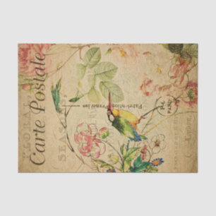 Ephemera French Postcard Kingfisher Bird Decoupage Tissue Paper