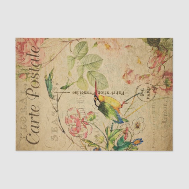 Ephemera French Postcard Kingfisher Bird Decoupage Tissue Paper (Front)