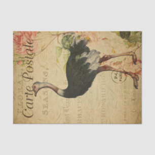 Ephemera French Postcard Ostrich Decoupage Tissue Paper