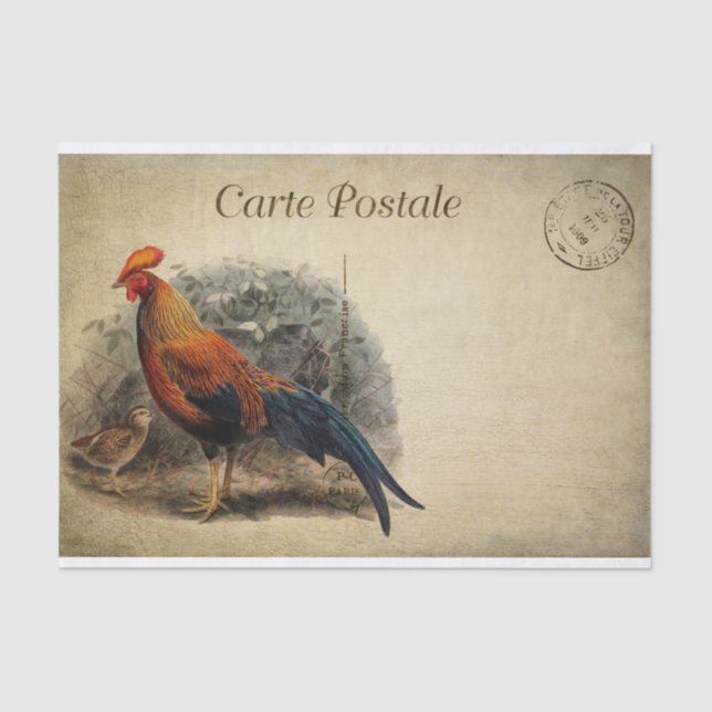 Ephemera French Postcard Rooster Chick Decoupage Tissue Paper (Front)