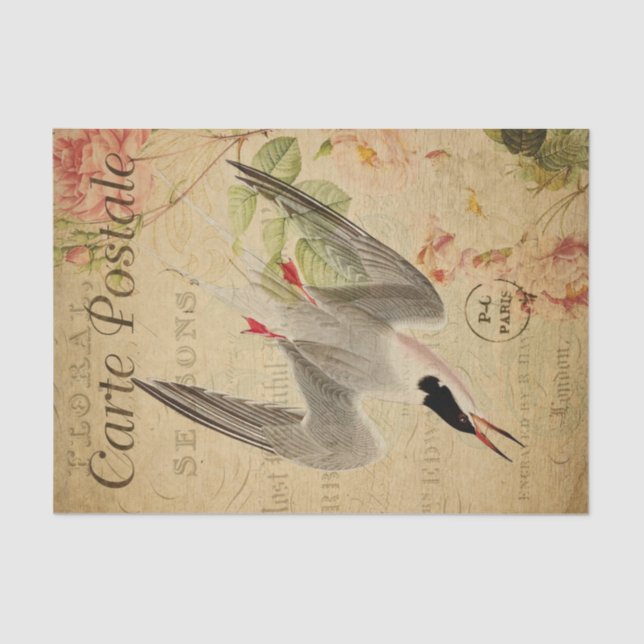 Ephemera French Postcard Tern Bird Decoupage Tissue Paper (Front)