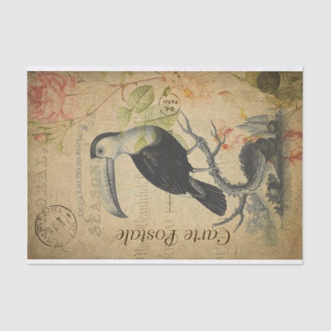 Ephemera French Postcard Toucan Bird Decoupage Tissue Paper (Front)