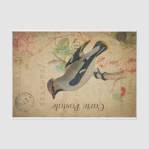 Ephemera French Postcard Waxwing Bird Decoupage Tissue Paper
