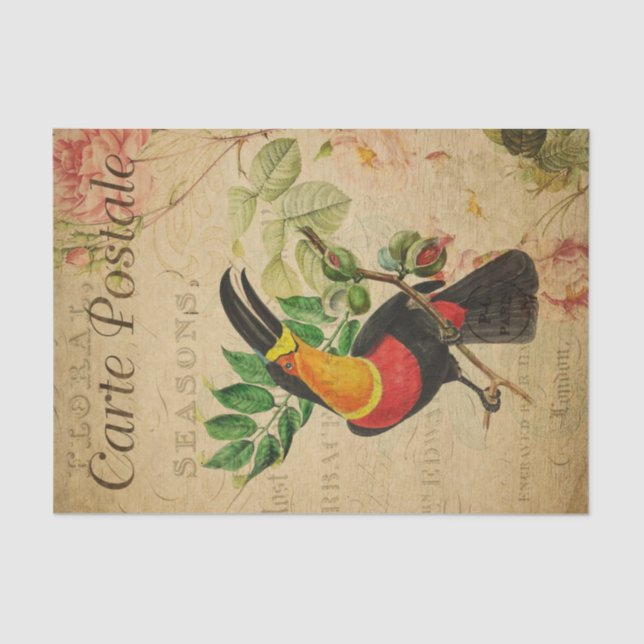 Ephemera French Tropical Toucan Bird Decoupage  Tissue Paper (Front)