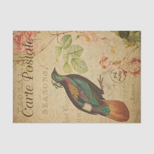 Ephemera Himalayan Monal Pheasant Bird Decoupage Tissue Paper (Front)