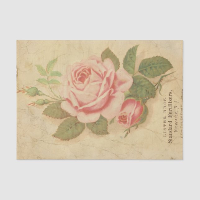 Ephemera Sheet Design Series #10 (Front)